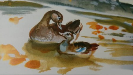 Мамин Сибиряк серая шейка