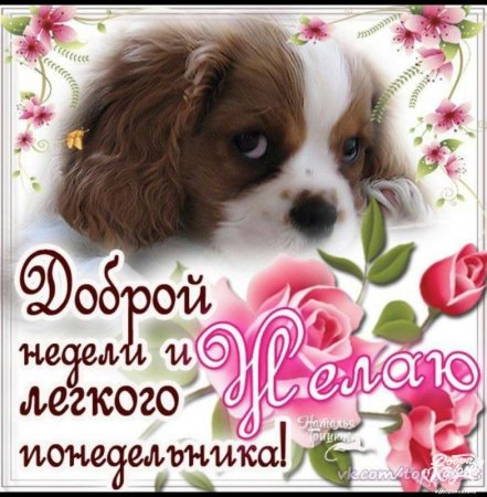 Открытки с понедельником