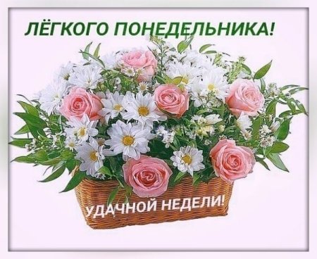 Красивое поздравление с понедельником