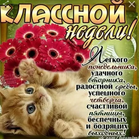 Открытки удачной недели