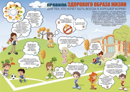 Правила здорового образа жизни