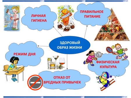 Правила здорового образа жизни