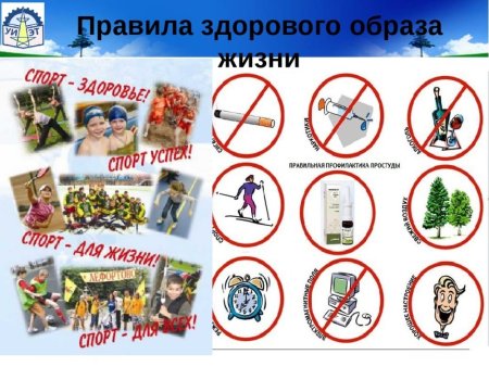 Правила здорового образа жизни