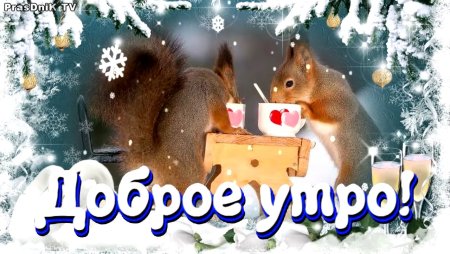 С добрым зи ним утром вторникп