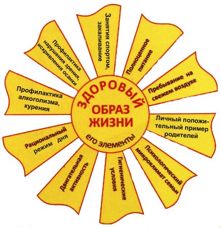 Здоровый образ жизни солнышко