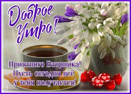 Поздравления с добрым утром вторника