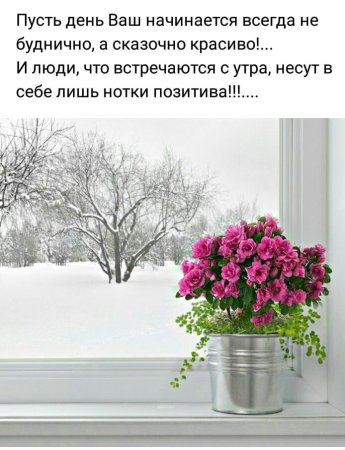С добрым зимним утром вторника