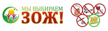 Профилактика здорового образа жизни