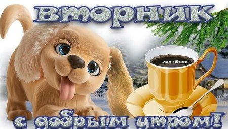 С добрым зимним утром вторника