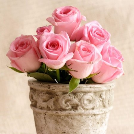 Поздравления с днём рождения