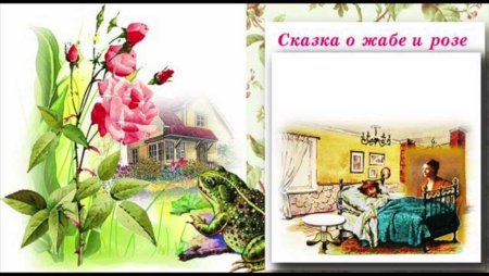 Гаршин сказка о жабе и Розе иллюстрации
