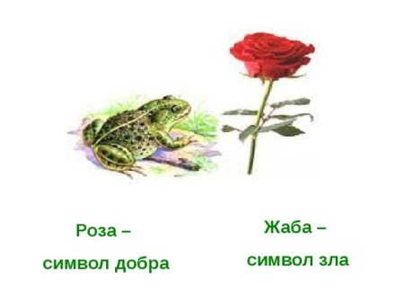 Рисунок к сказке Гаршина жаба и роза