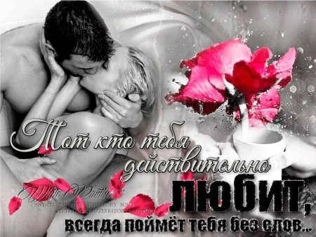 Целую и обнимаю тебя милый