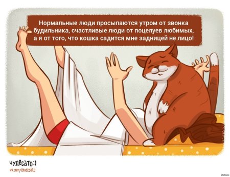 С добрым утром прикол
