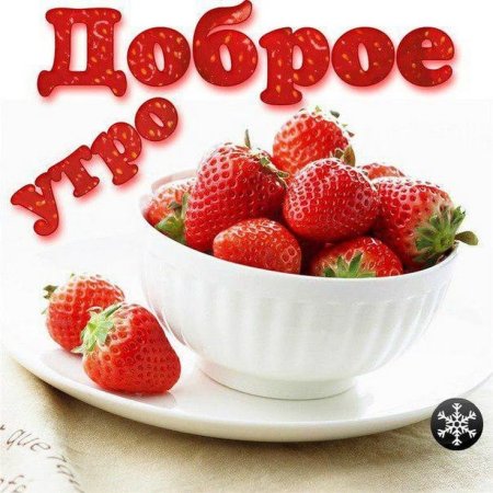 Открытки с добрым утром мужчине