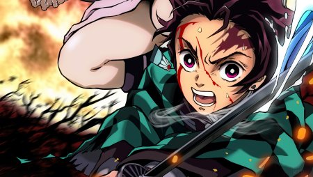 Demon Slayer Kimetsu no Yaiba
