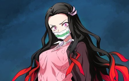 Demon Slayer Kimetsu no Yaiba аниме
