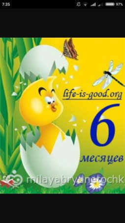 6 Месяцев открытка