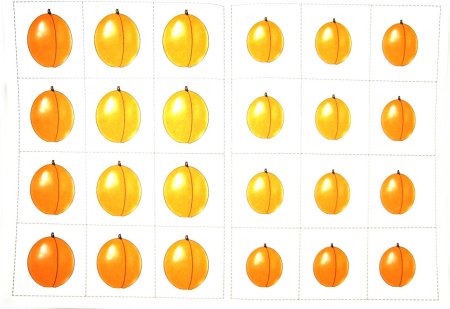 Раздаточный материал для дошкольников