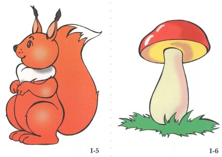 Птицы наглядный материал