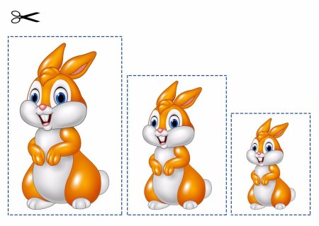 Морковь счетный материал