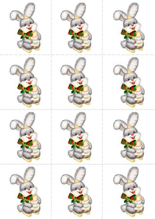 Раздаточный материал домашние птицы