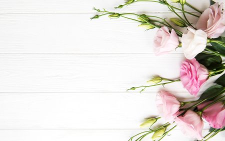 Белый фон с цветами