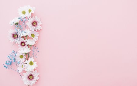 Красивый цветочный фон для текста