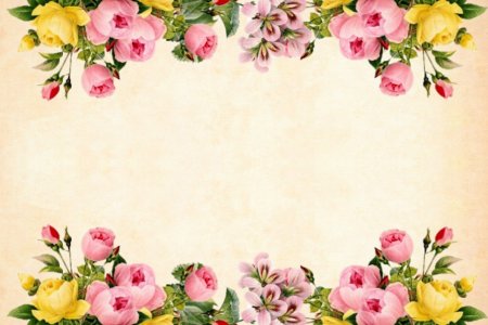 Цветы фон для открытки