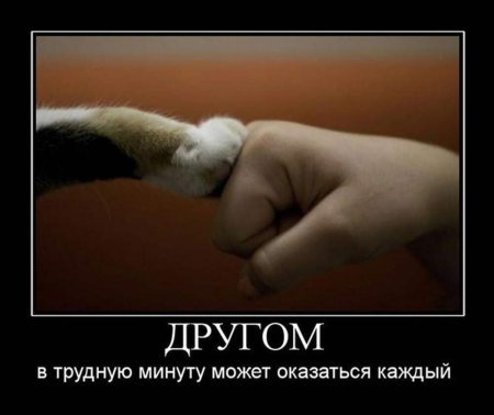 Поддержка в трудную мину у