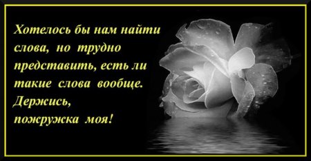 Слава подджержки погруг
