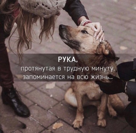 Поддержка в трудную минуту
