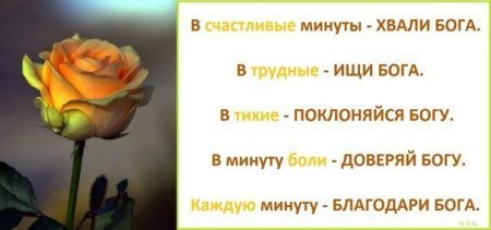 Стихи поддержки в трудную минуту