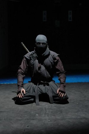 Ниндзя: воины-тени фильм 2012