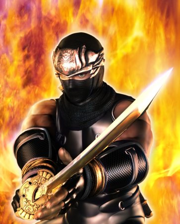 Ninja Gaiden Dragon Sword