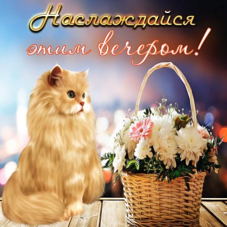 Окрыкасдобрым вечером