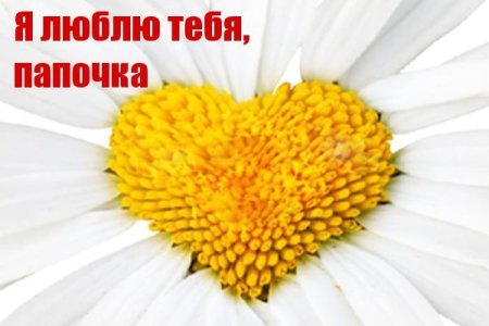 Папочка я тебя люблю