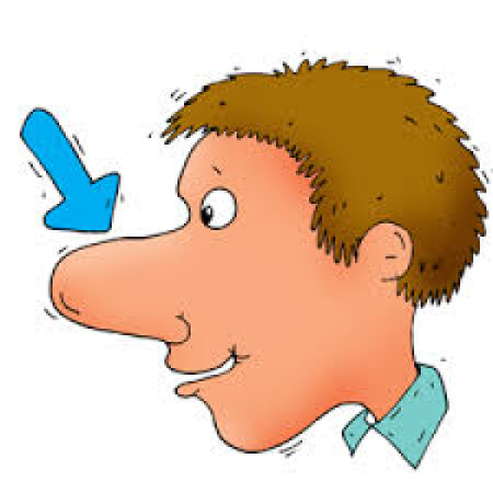 Мультяшные носы