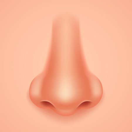 Нос мультяшная