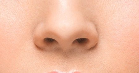 Нос картинка