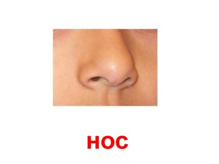 Изображение носа для детей