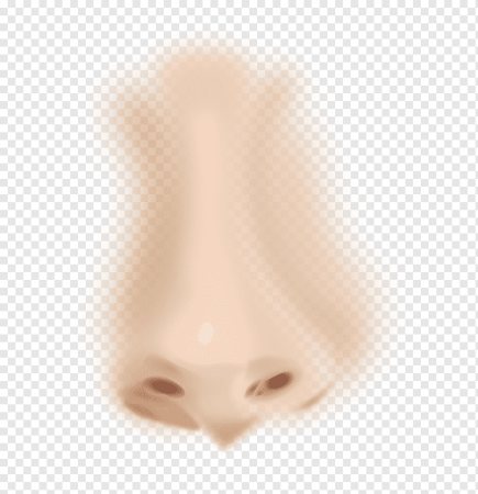 Нос на белом фоне
