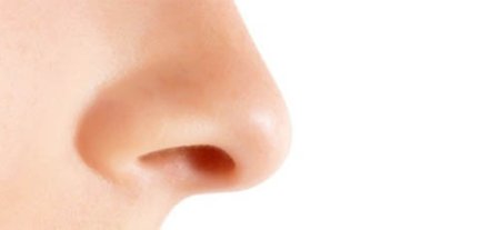 Нос на белом фоне