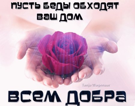 Берегите себя и своих близких будьте здоровы