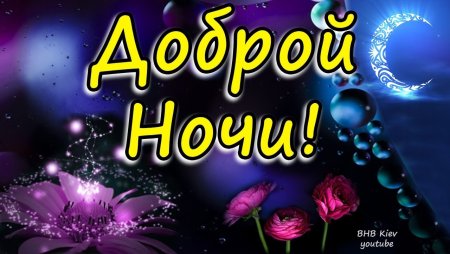 Тик ток спокойной ночи пожелания