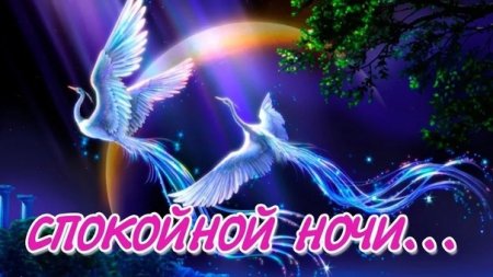 Тик ток спокойной ночи пожелания