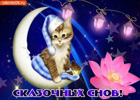 Спокойной ночи именинник