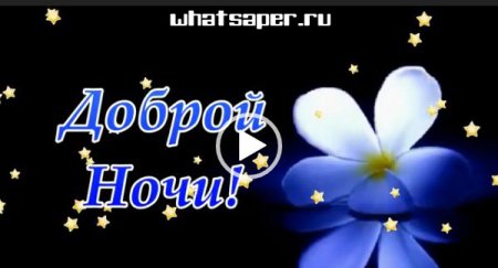 Доброй ночи для ватсапа