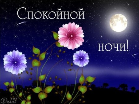 Цветы с пожеланием спокойной ночи