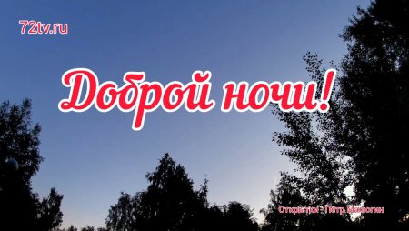 Тик ток доброй ночи